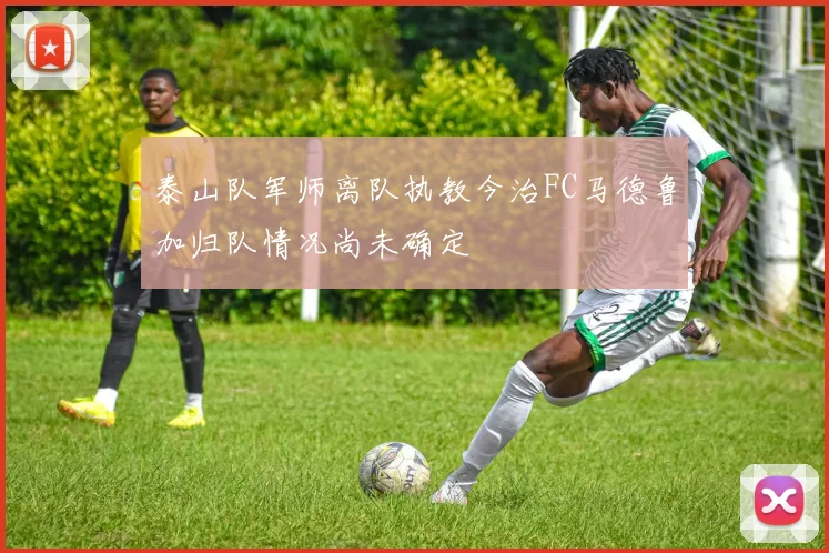 泰山队军师离队执教今治FC马德鲁加归队情况尚未确定